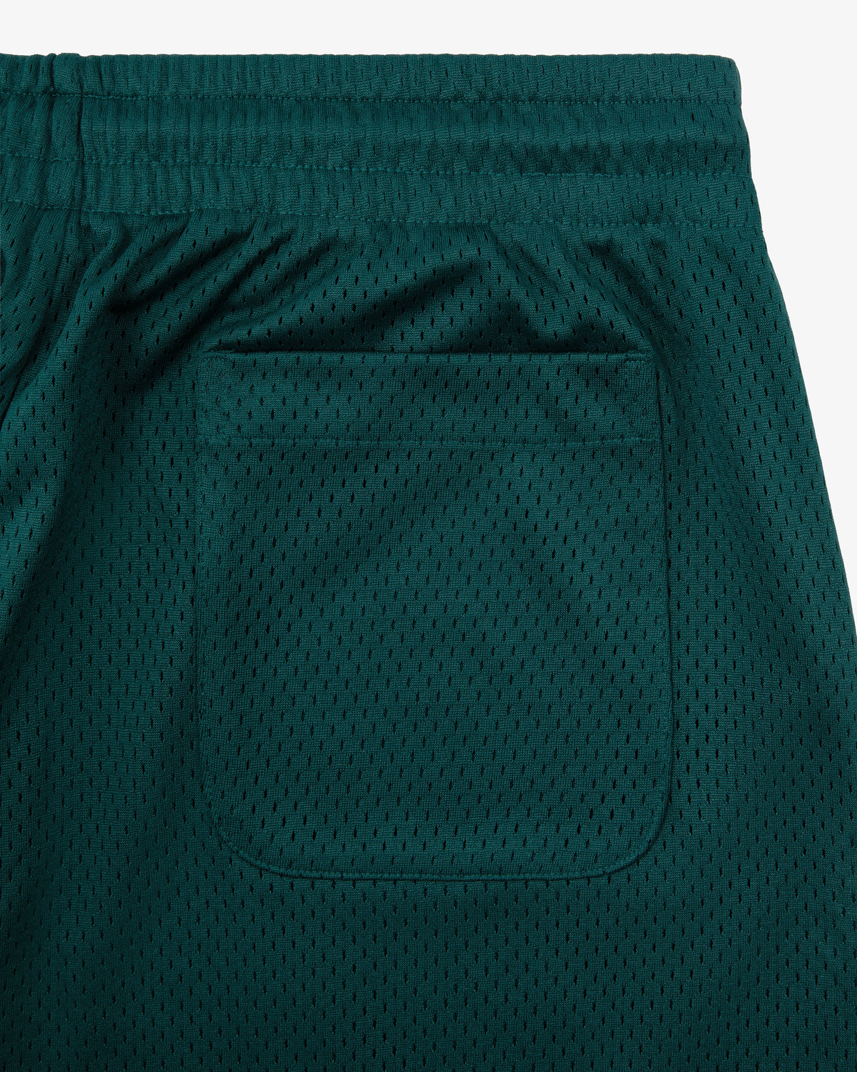 Aimé Leon Dore Botanical green Logo Gym Short Clothing