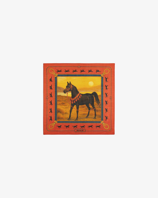 Aimé Leon Dore Evening blue Bayard Silk Bandana Accessories