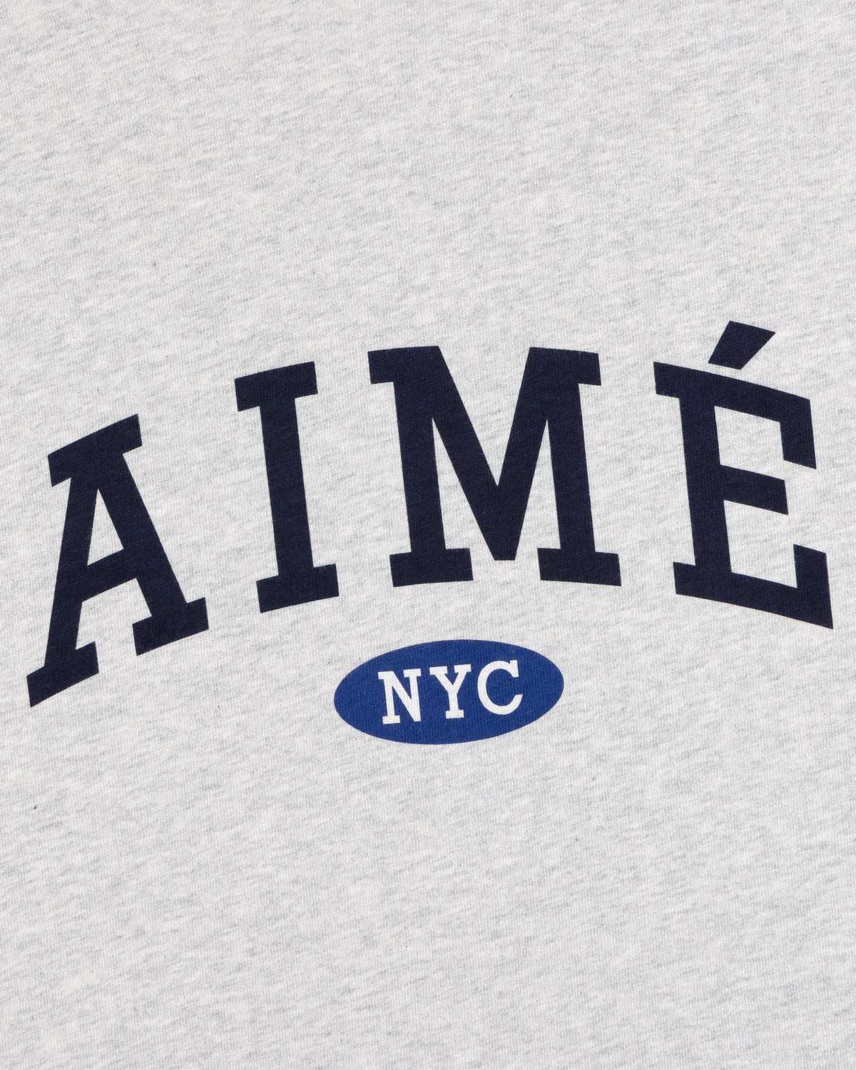 Aimé Leon Dore Silver mix Aimé Souvenir Tee Clothing