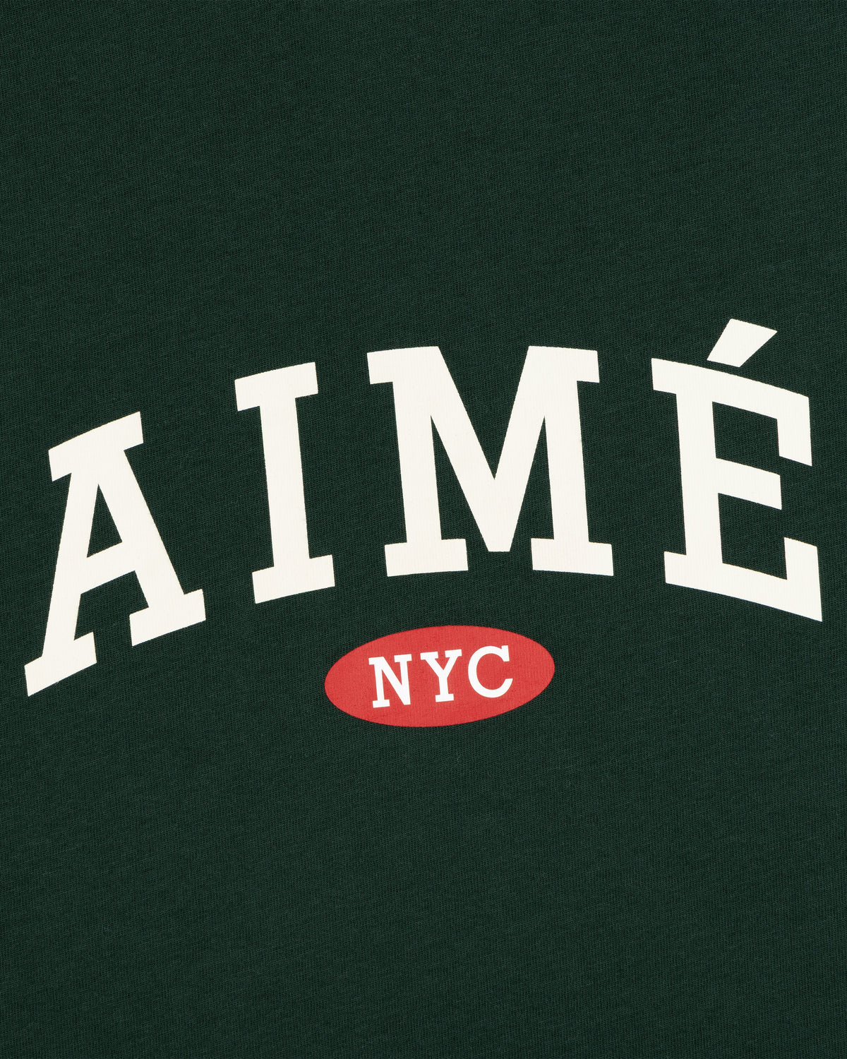 Aimé Leon Dore Pine grove Aimé Souvenir Tee Clothing