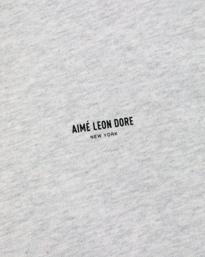 Aimé Leon Dore Silver mix Micro Logo Tee Clothing
