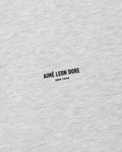 Aimé Leon Dore Silver mix Micro Logo Hoodie Clothing