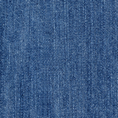 Aimé Leon Dore Mid wash Crest Chambray Shirt Clothing
