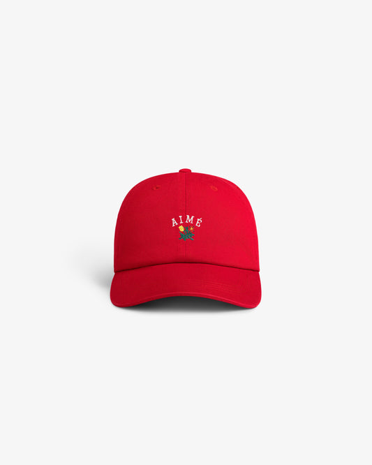 Aimé Leon Dore Equestrian red Crest Logo Hat Headwear