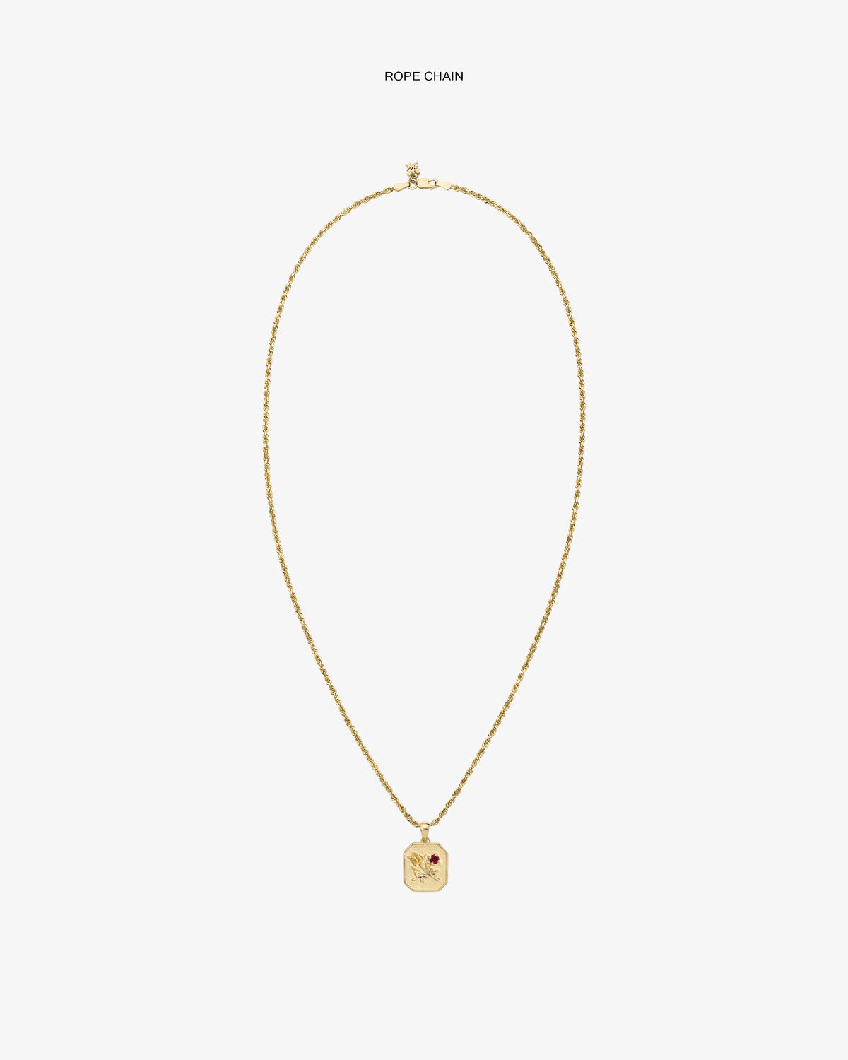 Aimé Leon Dore Evening blue 14Kt Gold Queens Crest Relief Pendant Jewelry