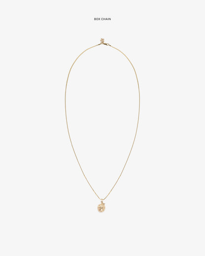 Aimé Leon Dore Evening blue 14Kt Sonny Apple Pendant Jewelry