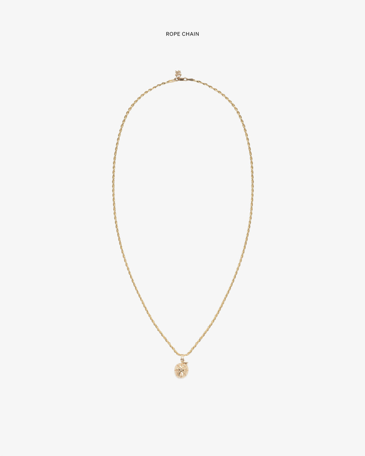 Aimé Leon Dore Evening blue 14Kt Sonny Apple Pendant Jewelry